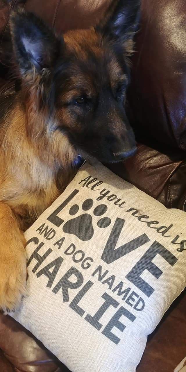 Custom Pillow for Dog Lovers || All You Need Is Love and a Dog Named || Gift for Dog Lovers || Personalized Pet Home Decor